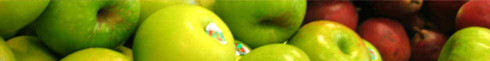 ellu agronegócio - maçãs verdes